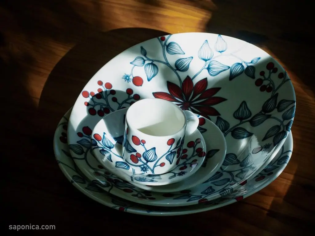 2022年冬もルノ日記 - saponica